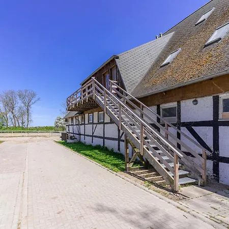 Pferdehof Koenigsstuhl - 1 Mecklenburger