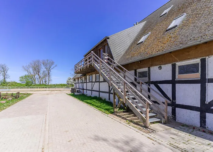 Pferdehof Koenigsstuhl - 1 Mecklenburger